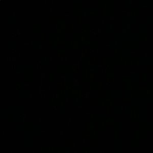 Meet your Posher, Ann